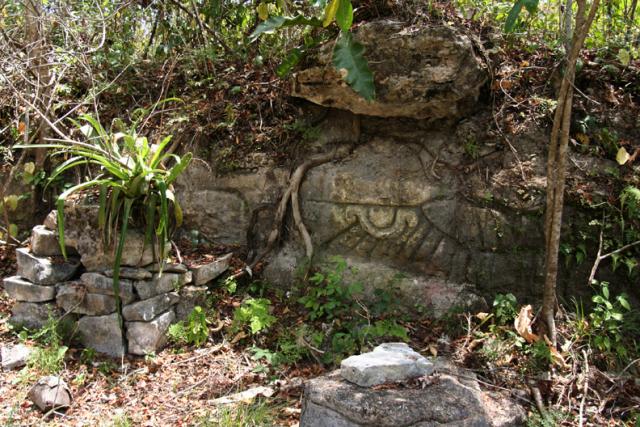 On the way to the main Muyil site, we see numerous Maya carvings in the stones that border the footpath.