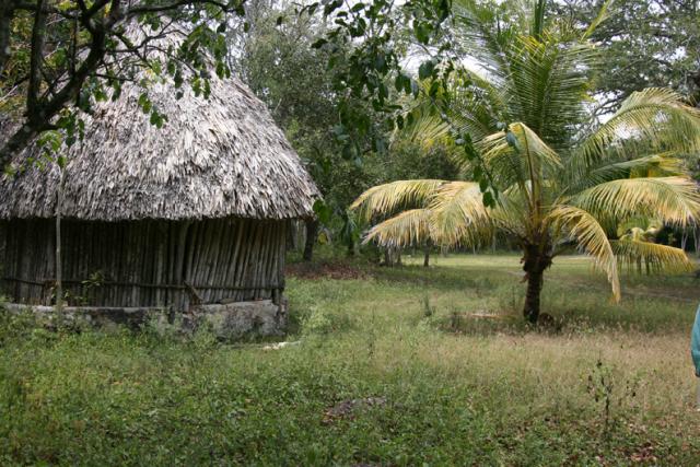 We walk past a peaceful, bucolic scene with a Maya family home