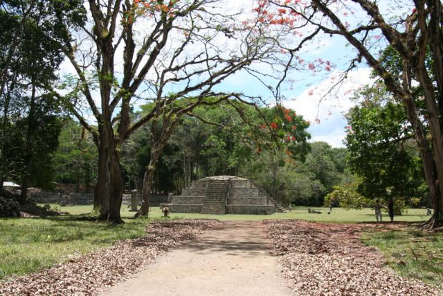 First sight of the Great Plaza at Copán