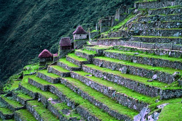 The stepped terraces of Machu Picchu that provided sustenance for the entire population of the ancient city.